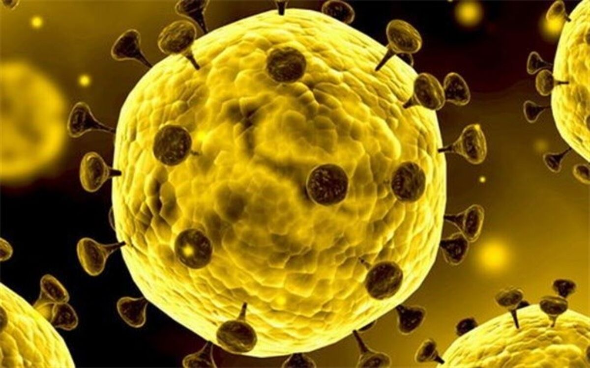 افزایش شمار افراد بستری به دلیل احتمال ابتلا به ویروس کرونا در استان اردبیل به 100 نفر