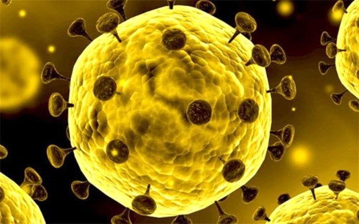 افزایش شمار افراد بستری به دلیل احتمال ابتلا به ویروس کرونا در استان اردبیل به 100 نفر