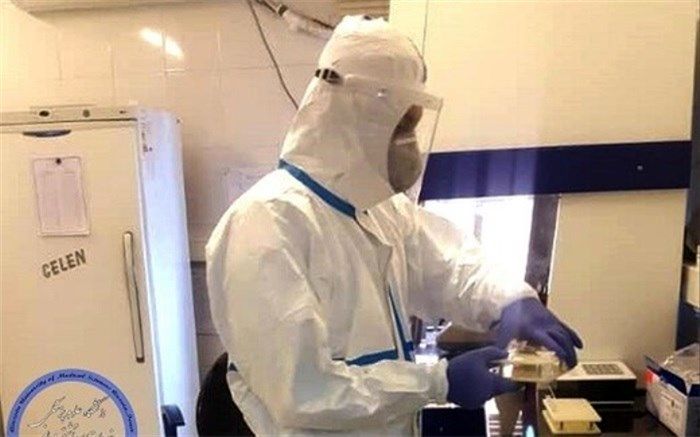 کدام گروه سنی به کرونا مبتلا نمی‌شود؟