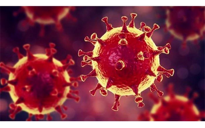 مبتلایان به کرونا  در آذربایجان شرقی 130 نفر و فوتیها 12 نفر اعلام شد