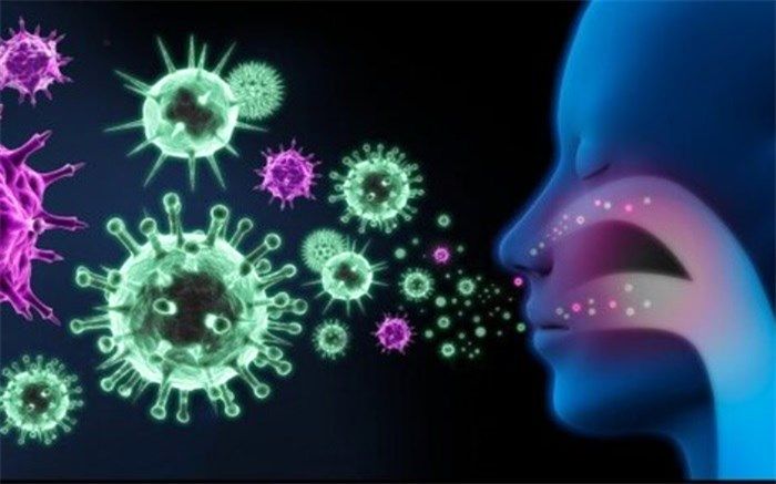 کروناویروس، از طریق غذا هم منتقل می‌شود