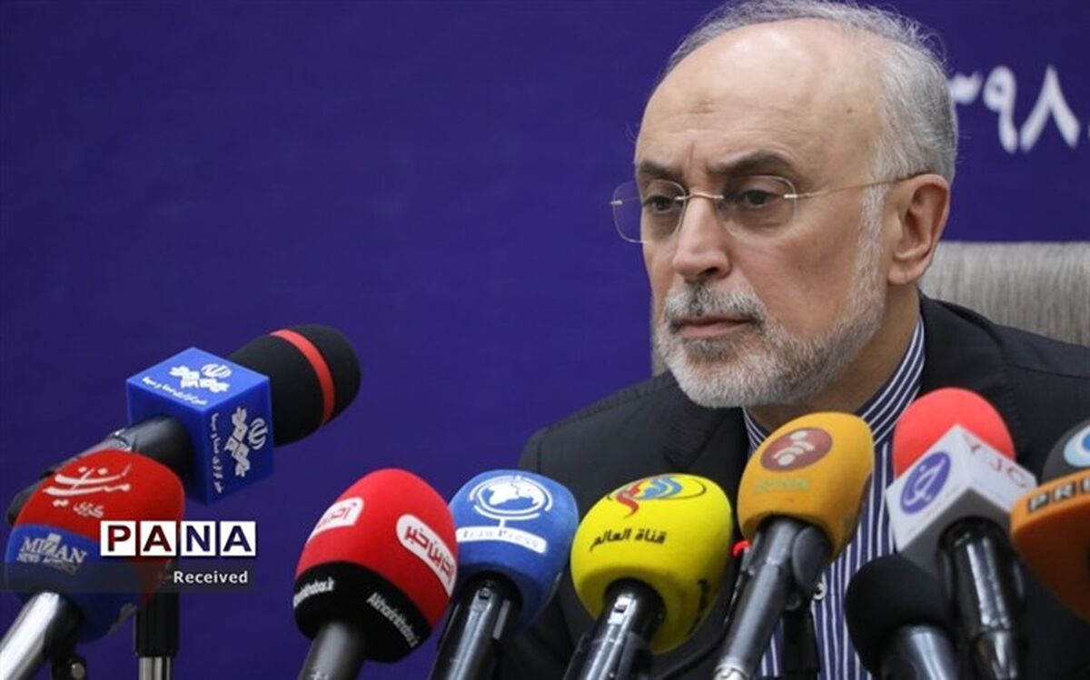 صالحی: مراسم روز ملی فناوری هسته‌ای برگزار نخواهد شد