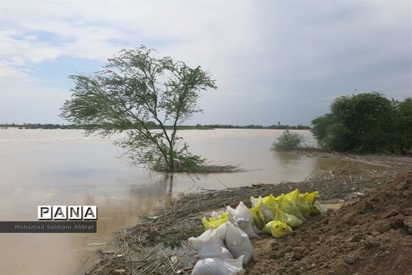 عکس‌های منتخب سال 1398 استان خوزستان