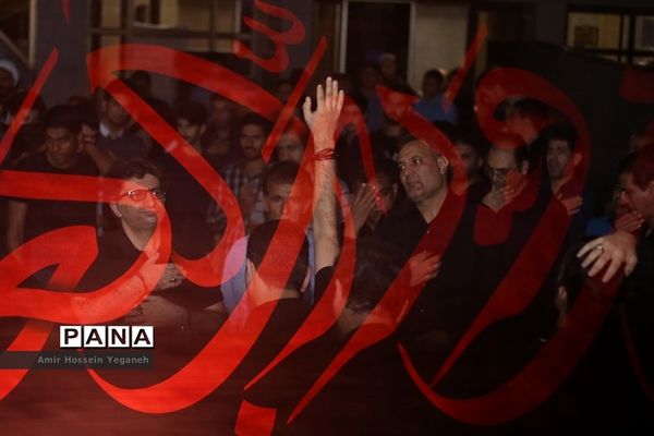 عکس‌های منتخب سال 1398 استان هرمزگان