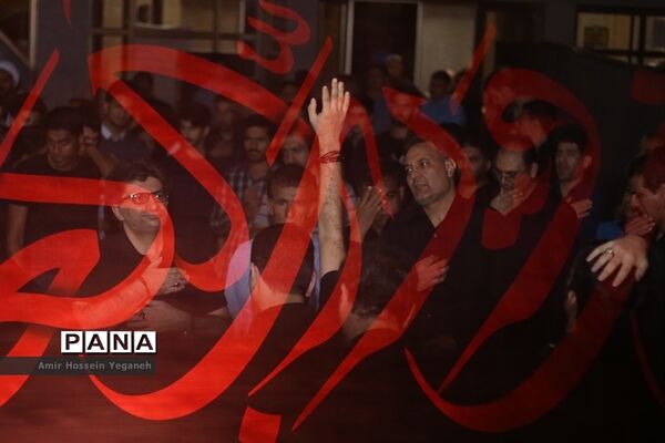 عکس‌های منتخب سال 1398 استان هرمزگان