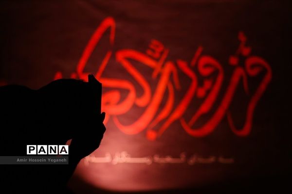 عکس‌های منتخب سال 1398 استان هرمزگان