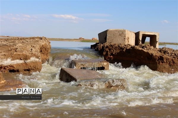 عکس‌های منتخب سال 1398 استان البرز