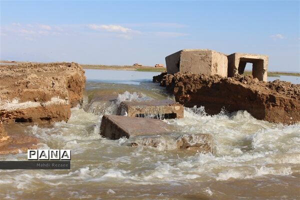 عکس‌های منتخب سال 1398 استان البرز