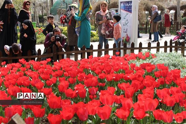 عکس‌های منتخب سال 1398 استان البرز