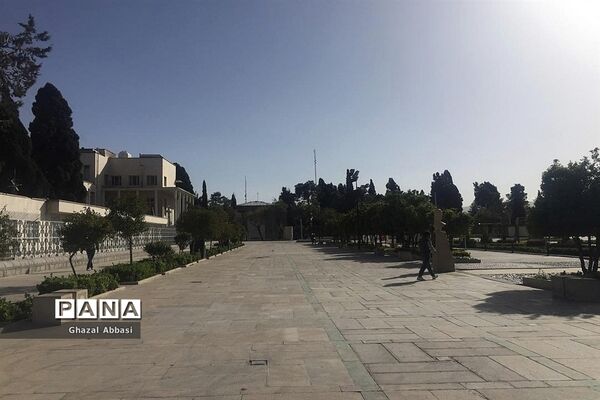 کرونا در شیراز