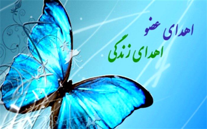 نوجوان دلواری فرشته نجات سه هم‌ وطن شد