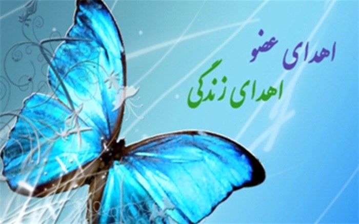 نوجوان دلواری فرشته نجات سه هم‌ وطن شد