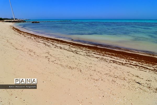 روز طبیعت در کیش