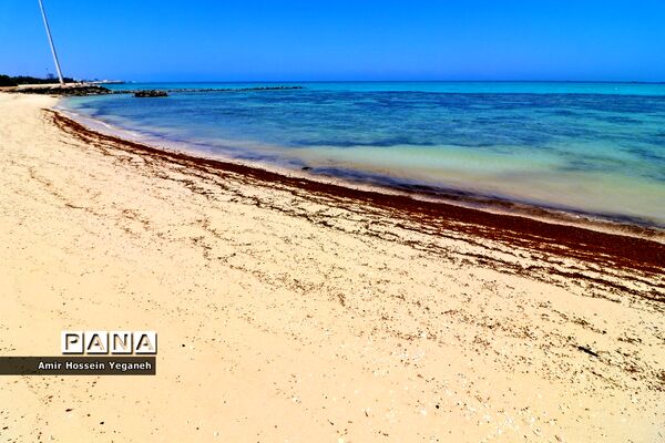 روز طبیعت در کیش