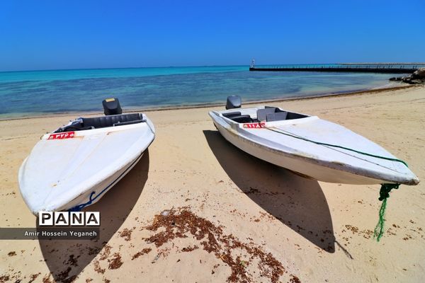 روز طبیعت در کیش