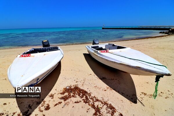روز طبیعت در کیش