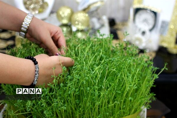 سیزده بدر دانش آموزان شهرستان امیدیه در خانه هایشان
