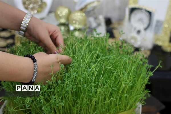 سیزده بدر دانش آموزان شهرستان امیدیه در خانه هایشان