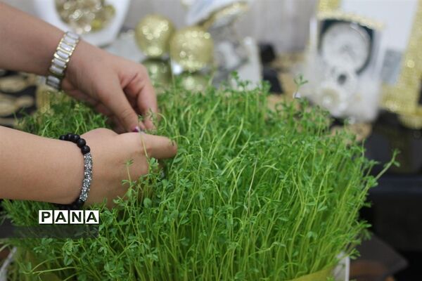 سیزده بدر دانش آموزان شهرستان امیدیه در خانه هایشان