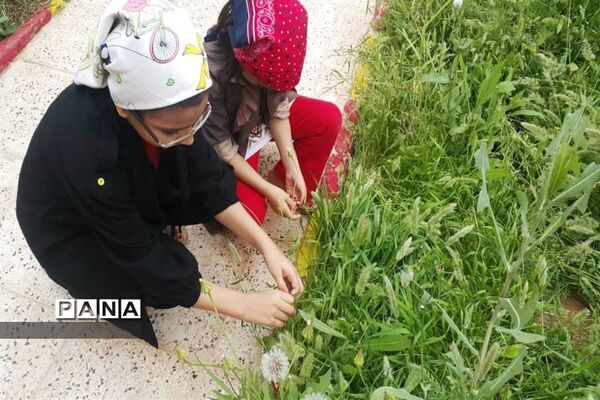 سیزده بدر دانش آموزان شهرستان امیدیه در خانه هایشان