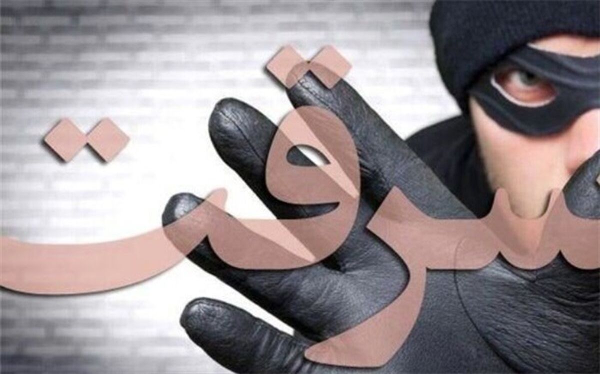 کاهش ۲۹ درصدی سرقت در بوشهر