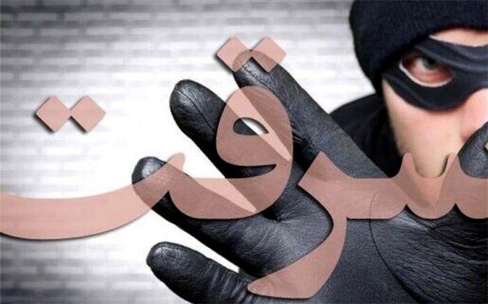 کاهش ۲۹ درصدی سرقت در بوشهر