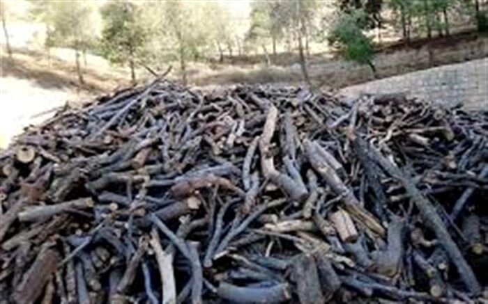 مبارزه با متخلفان عرصه‌های منابع طبیعی در فارس