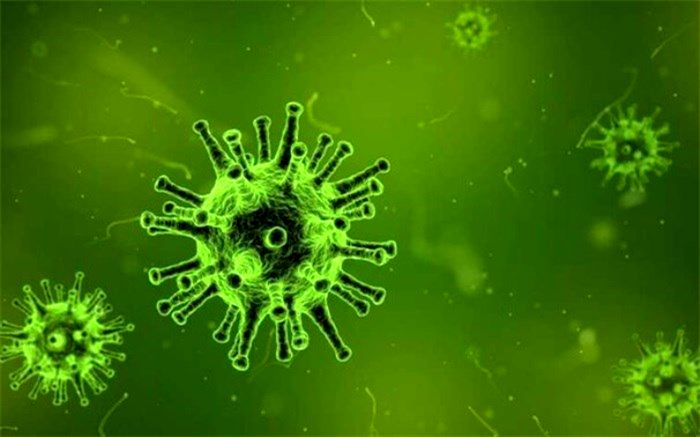 تلفن گویا ۱۵۶۹ برای اطلاع‌رسانی کرونا راه‌اندازی شد