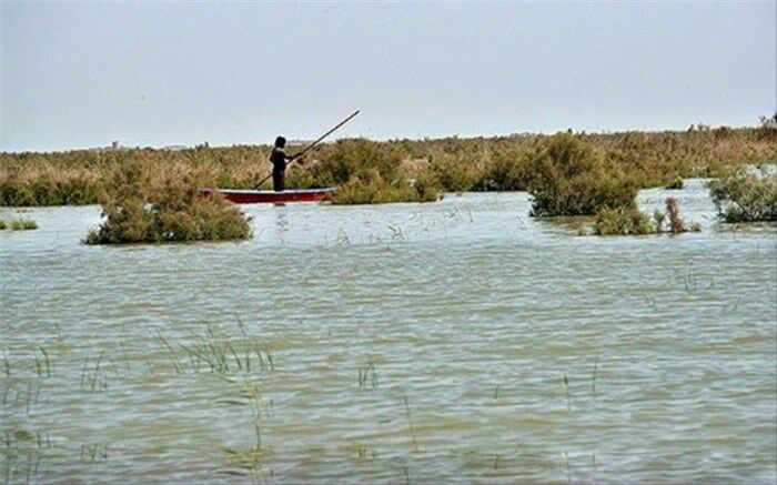 احیای مشاغل از دست رفته با زنده شدن هامون