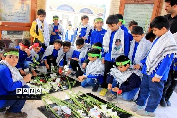 عکس‌های منتخب سال 1398 استان بوشهر