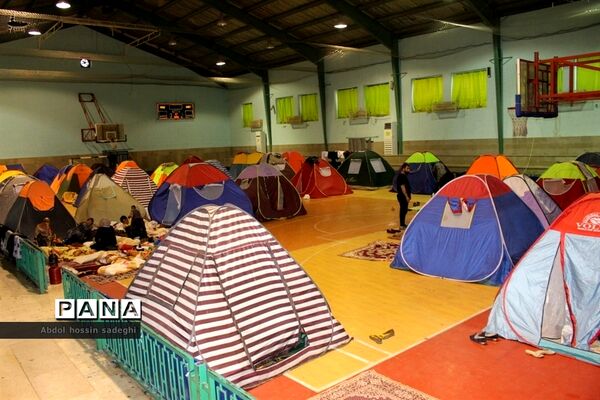 عکس‌های منتخب سال 1398 استان بوشهر