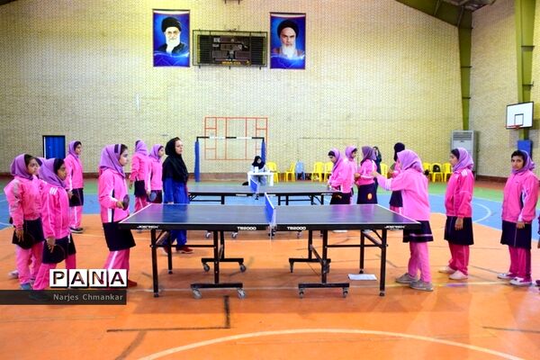 عکس‌های منتخب سال 1398 استان بوشهر