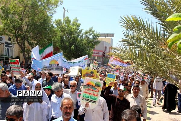 عکس‌های منتخب سال 1398 استان بوشهر