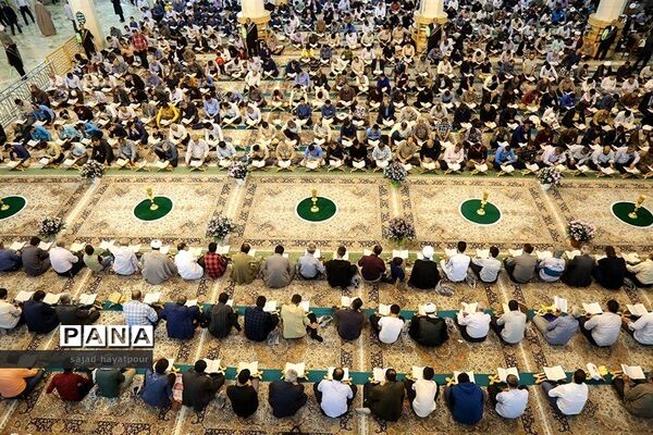 عکس‌های منتخب سال 1398 استان قم