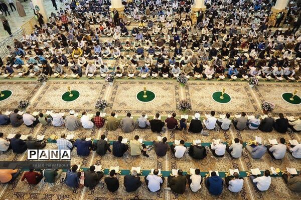 عکس‌های منتخب سال 1398 استان قم