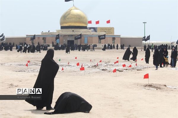 عکس‌های منتخب سال 1398 استان قم