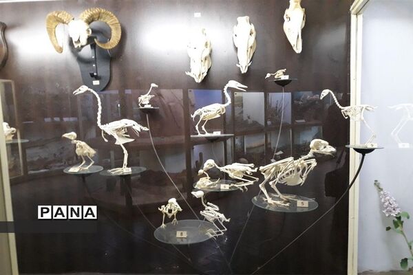 عکس‌های منتخب سال 1398 استان همدان