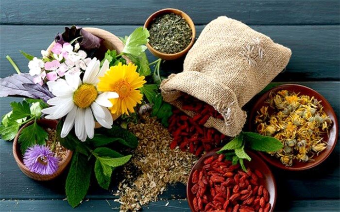 سهم طب سنتی در مهار کرونا