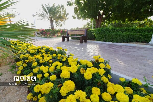 کرونا را شکست می‌دهیم
