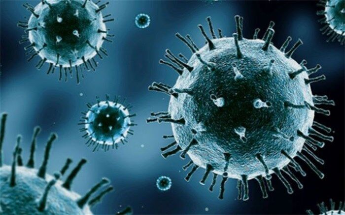 ورود طب سنتی و مکمل ظرفیتی ارزشمند برای قطع زنجیره انتقال کرونا