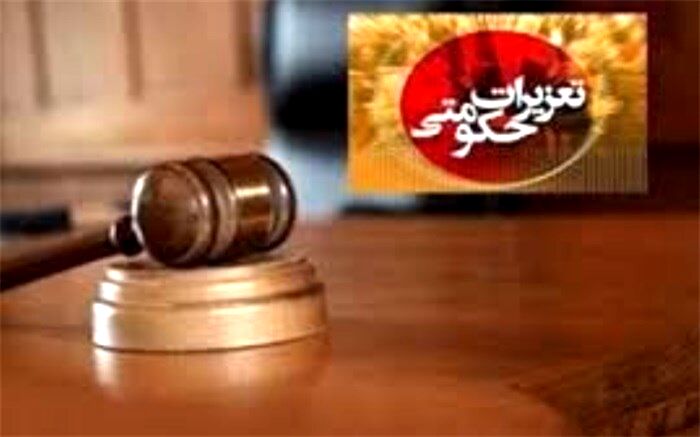 تاکید سخنگوی تعزیرات بر لزوم دقت بیشتر مردم در خریدهای اینترنتی