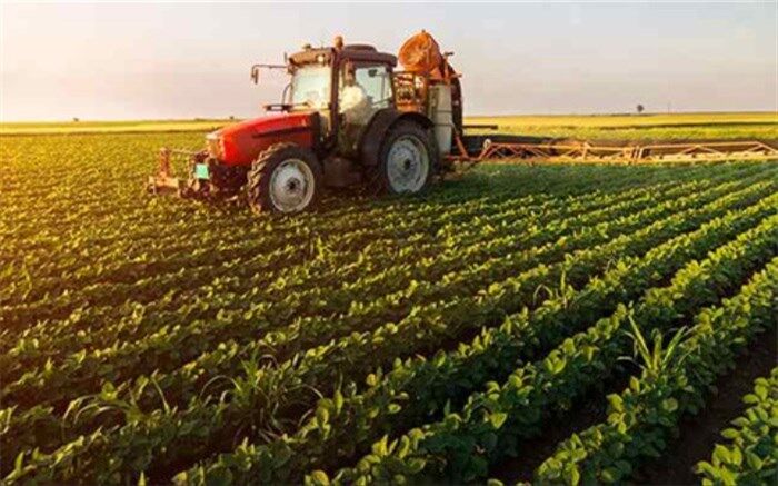 خسارت 6400 میلیارد ریالی سرما به کشاورزی فارس