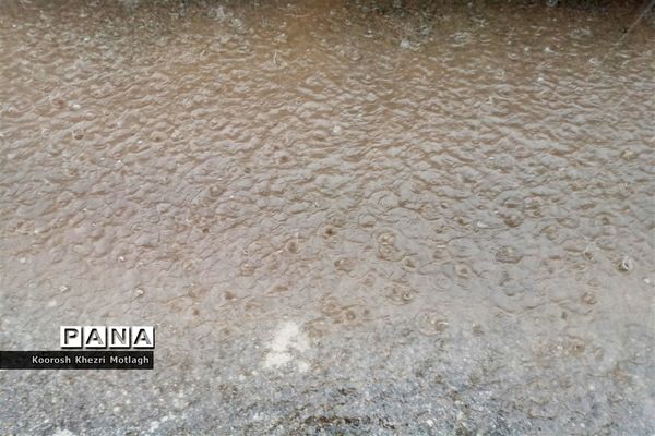 بارش باران بهاری در کازرون