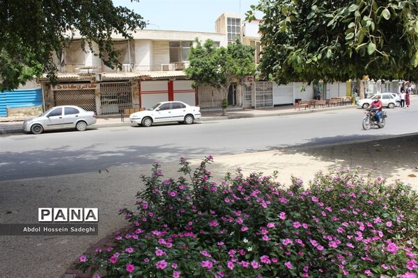 بازار بوشهر همچنان تعطیل است