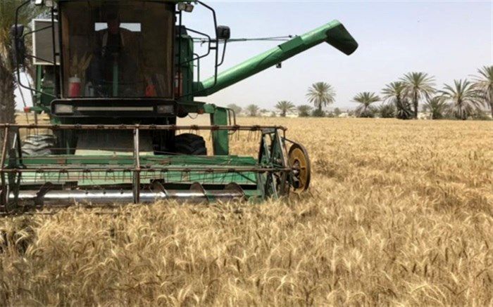 سلامتی کمباین‌داران استان بوشهر پایش می‌شود