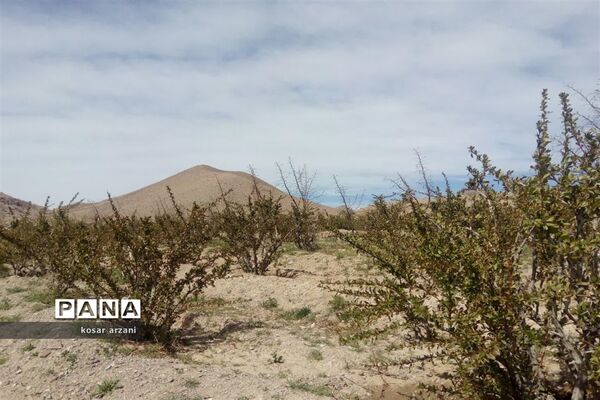 طبیعت بهاری روستا تقوک