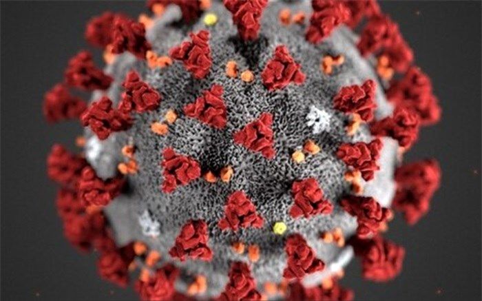 آخرین آمار جهانی کرونا