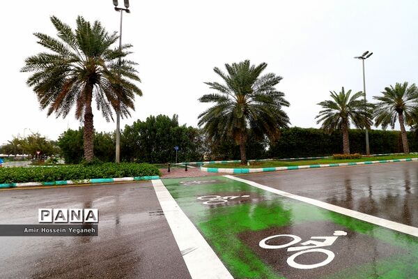 طراوت بهاری باران در روزهای کرونایی کیش