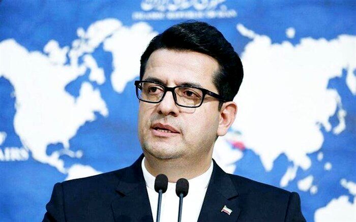 عباس موسوی: وزارت خارجه هیچ دخالتی در اِعمال پروتکل‌های بهداشتی ندارد