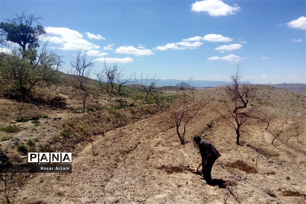 طبیعت زیبای روستا سنجدوک